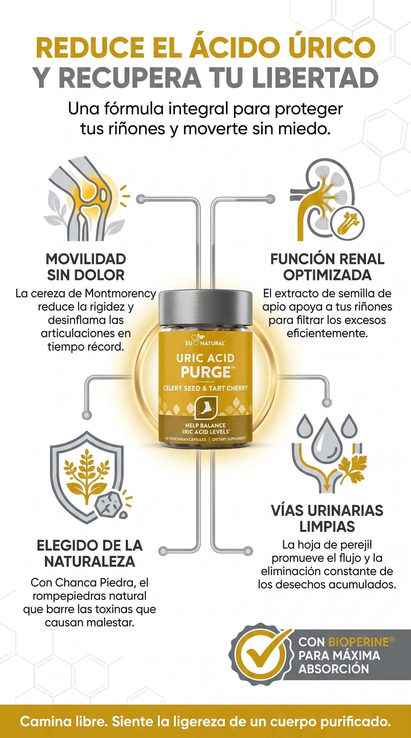 Purge Ácido Úrico Natural